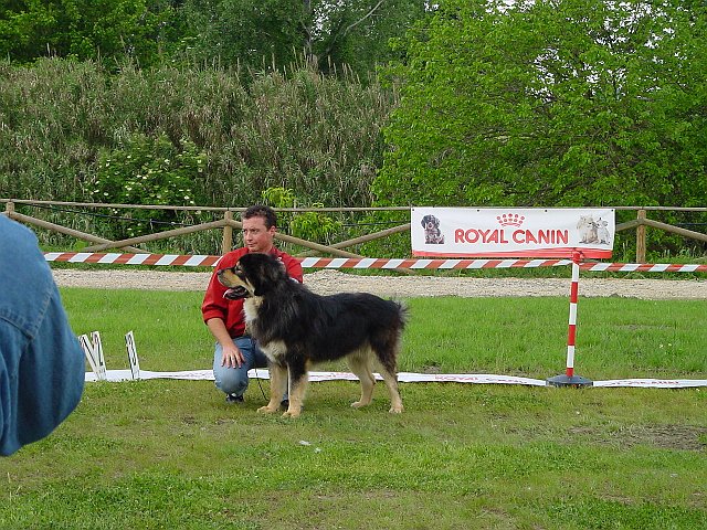 Immagine 045.jpg